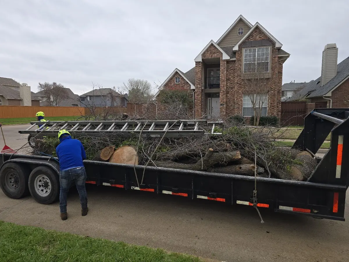 Expert Tree Fertilization with proper safety equipment in Fargo